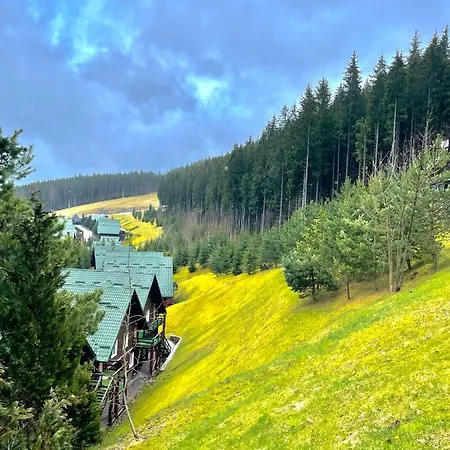 Alpehytte Nordian Next To Lift Bukovel