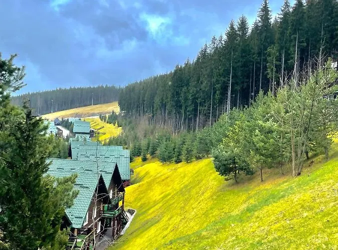 Chalet Nordian Next To Lift Bukovel